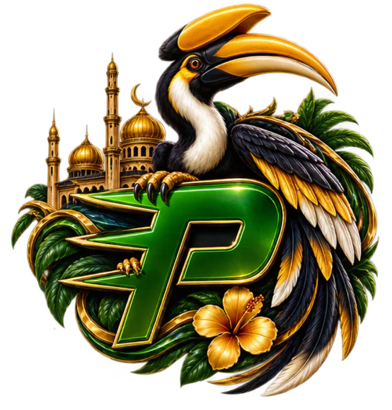 PlayDash Logo