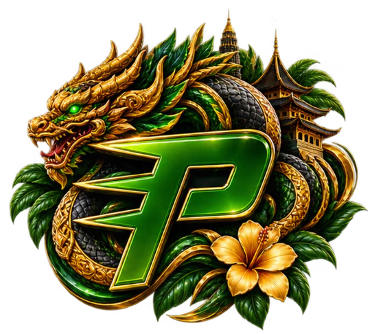 PlayDash Logo